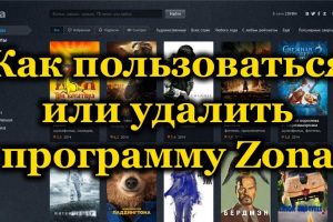 Программа Zona как популярный и востребованный торрент-клиент